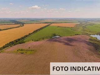 Terreno agricolo all'asta a ferrara via penevara