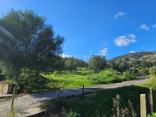 Terreno residenziale in vendita a montepaone 