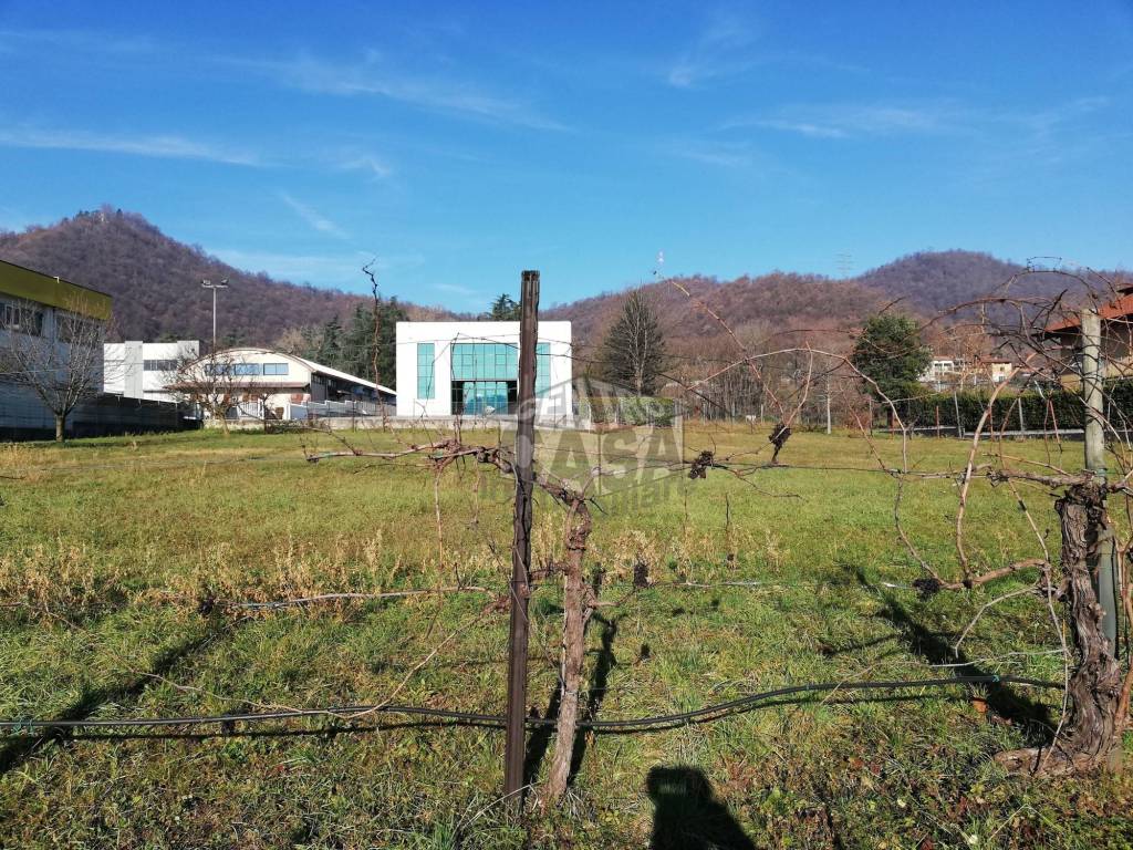 immagine annuncio 3 di 12