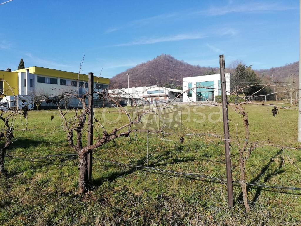 immagine annuncio 5 di 12