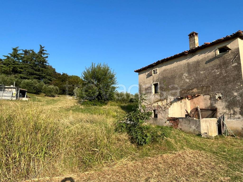 immagine annuncio 6 di 7