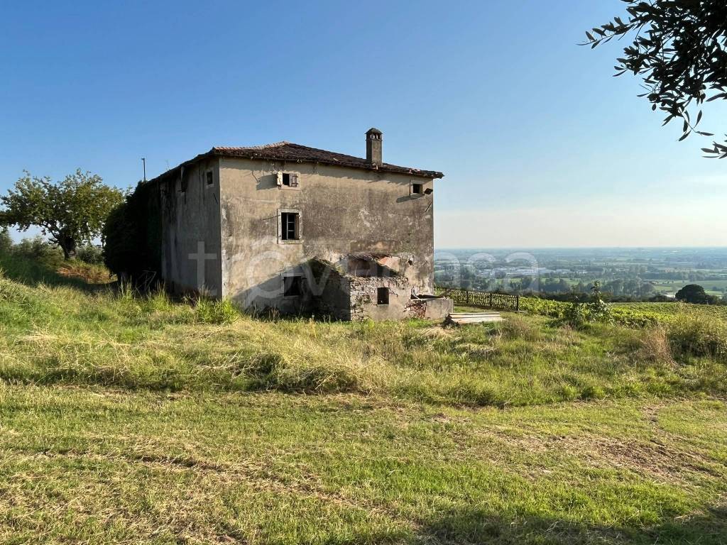 immagine annuncio 3 di 7