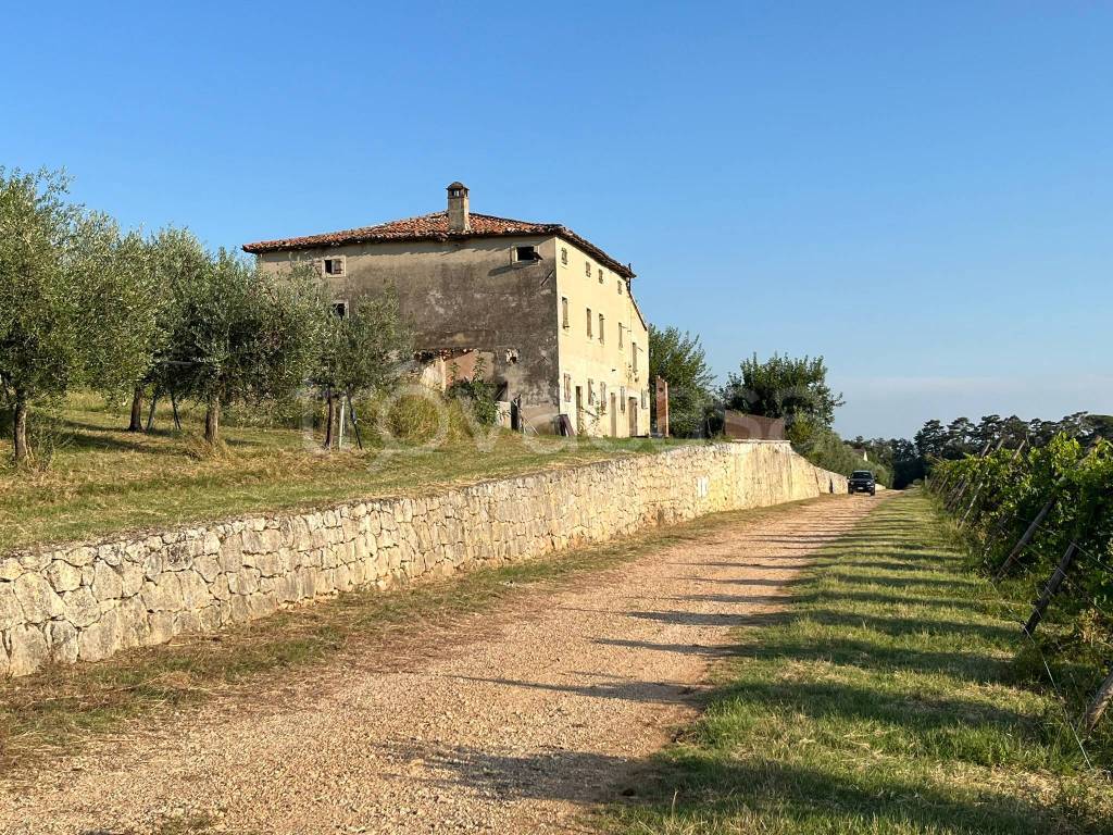 immagine annuncio 4 di 7