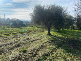 Terreno agricolo in vendita a pesaro strada lago di lesina