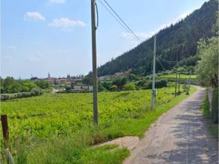 Terreno agricolo in vendita a fumane via c. ledri