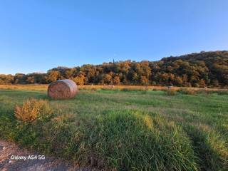 Terreno agricolo in vendita ad arezzo strada vicinale di fontanelle