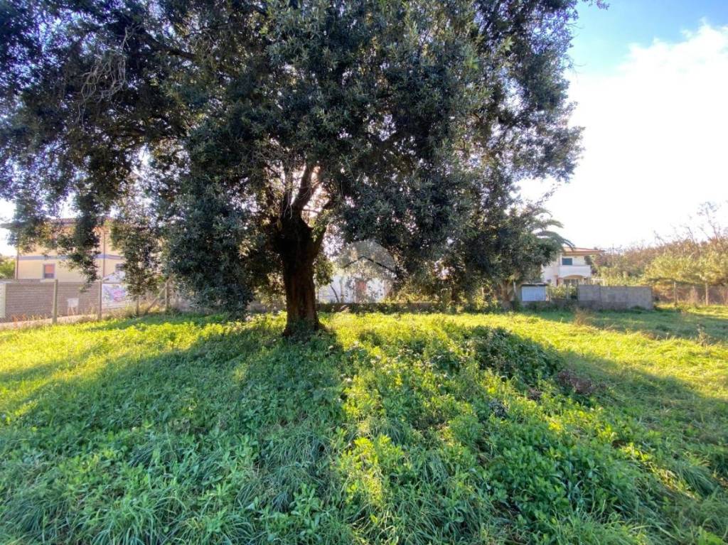 immagine annuncio 8 di 11