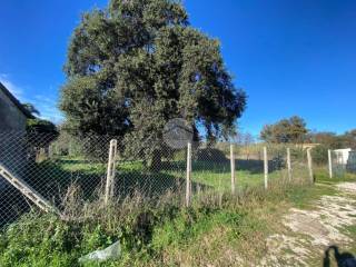 Terreno residenziale in vendita ad anzio via colle cocchino