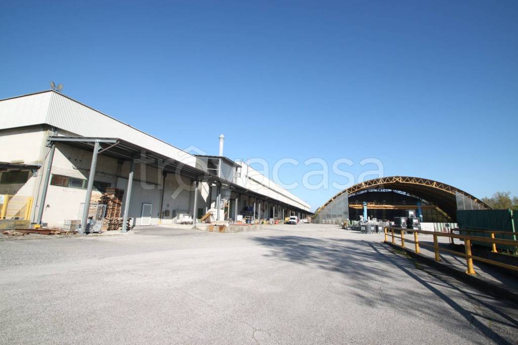 immagine annuncio 4 di 8