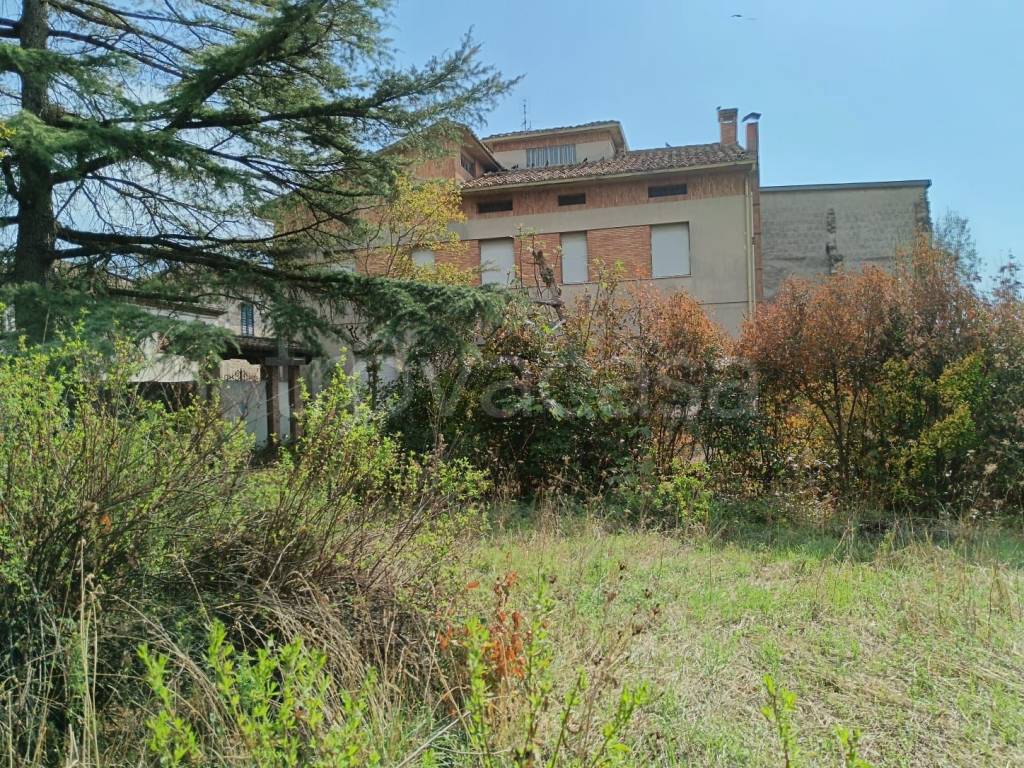 immagine annuncio 8 di 11