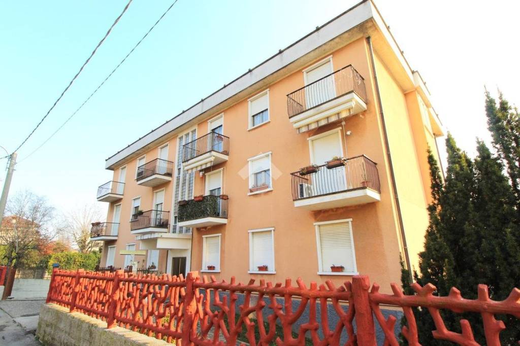 immagine annuncio 11 di 14