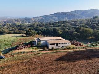 Terreno agricolo in vendita a siniscola sp12