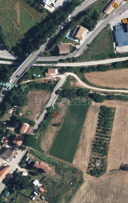 immagine annuncio 2 di 7