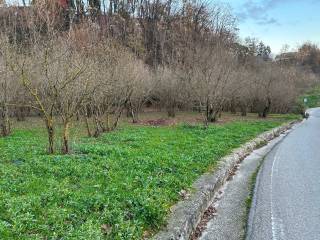 Terreno agricolo in vendita a grottolella via della dogana, 2