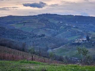 Casale in vendita a castelvetro di modena 