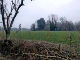 Terreno agricolo all'asta a cittadella via san rocco