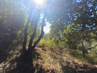 Terreno agricolo in vendita a lamezia terme muretto