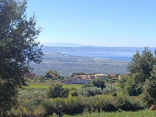 Terreno agricolo in vendita a lamezia terme contrada piano luppino