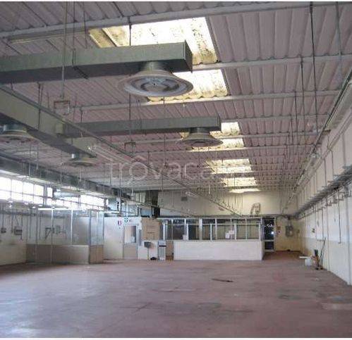 immagine annuncio 3 di 4