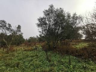 Terreno agricolo in vendita a bagno a ripoli via noccioli, 3