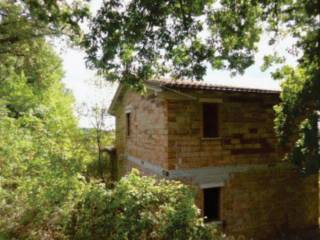 Terreno agricolo all'asta a sorano strada provinciale selvena