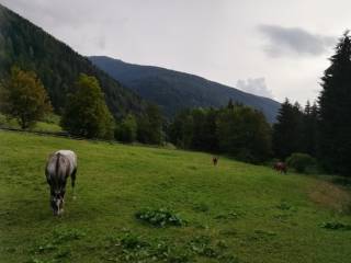 Terreno residenziale in vendita a temù via val d'avio