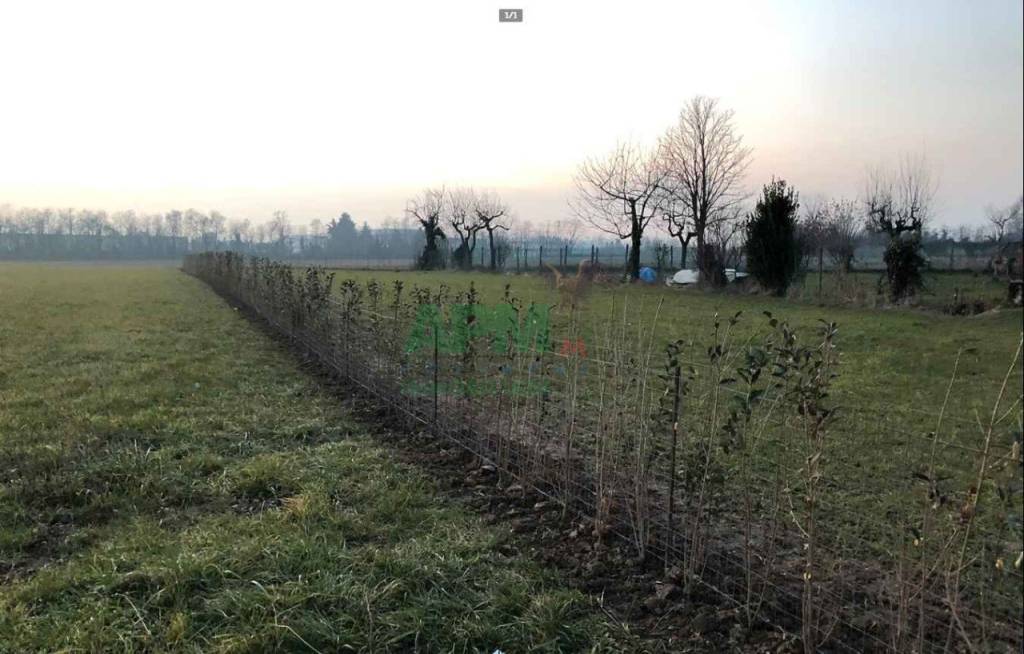 immagine annuncio 1 di 2