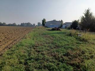 Terreno agricolo all'asta a sabbioneta via viazzola, snc