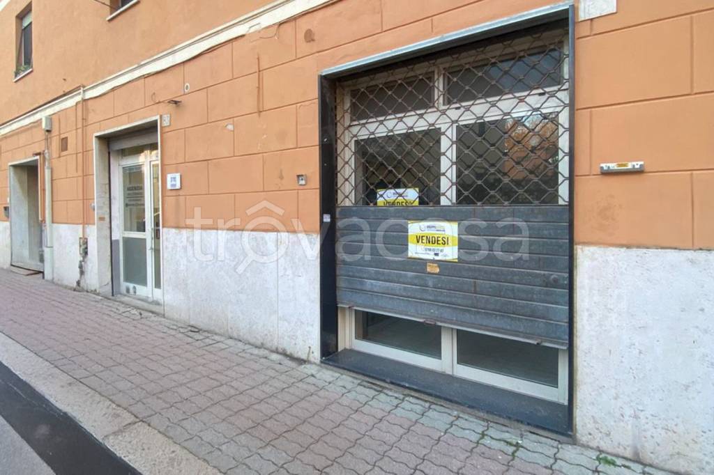 immagine annuncio 9 di 10