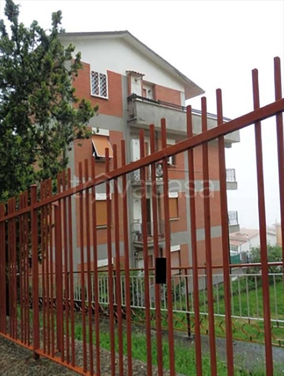 immagine annuncio 3 di 14