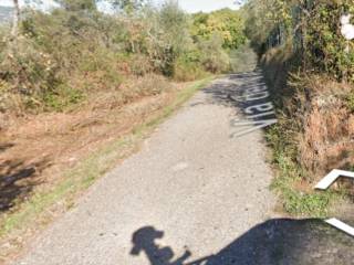 Terreno agricolo all'asta a monsummano terme via vicinale dei gobbi