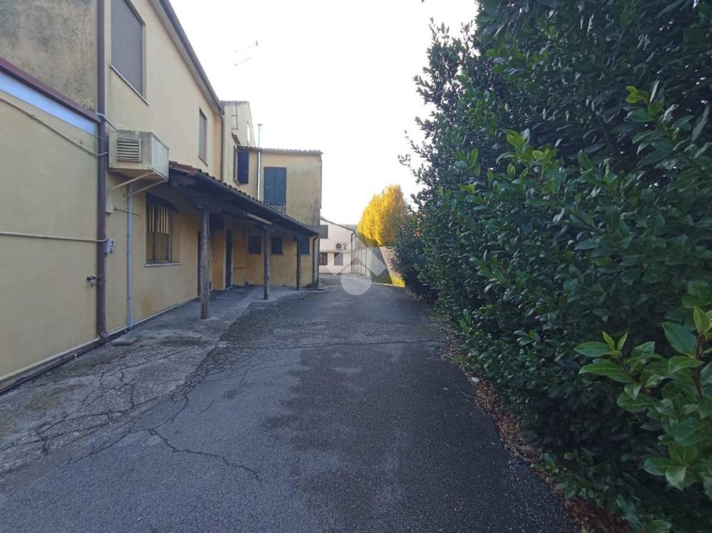 immagine annuncio 5 di 8