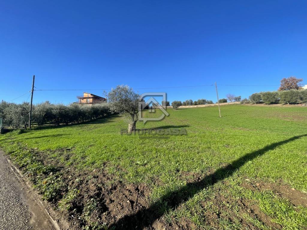 immagine annuncio 3 di 7