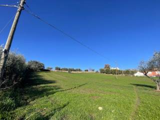 Terreno residenziale in vendita ad ariano irpino contrada cardito