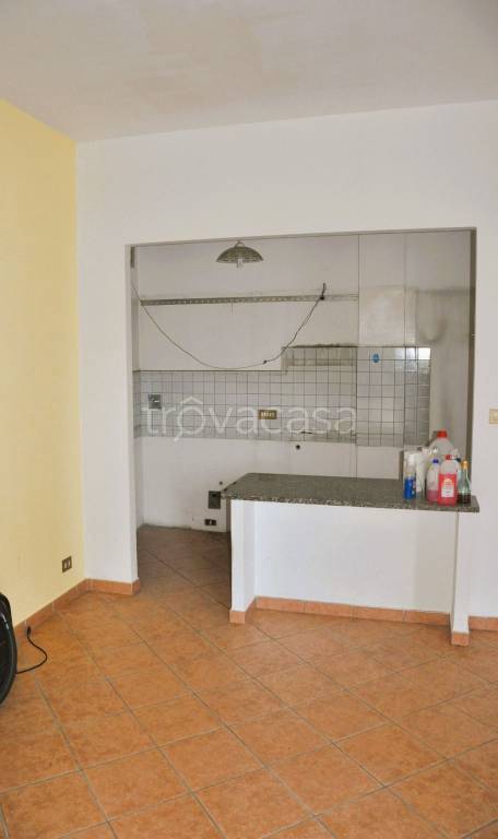 immagine annuncio 7 di 14