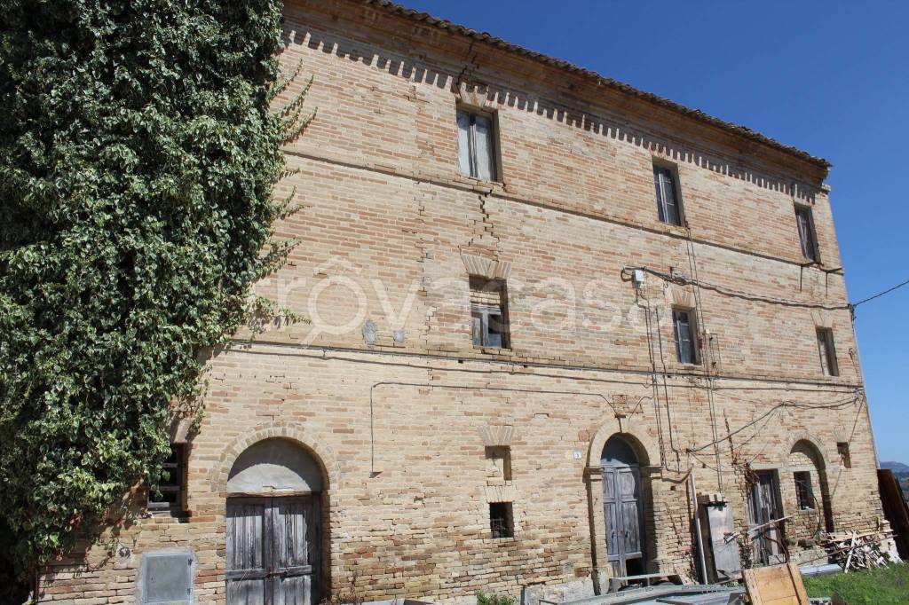 immagine annuncio 2 di 11
