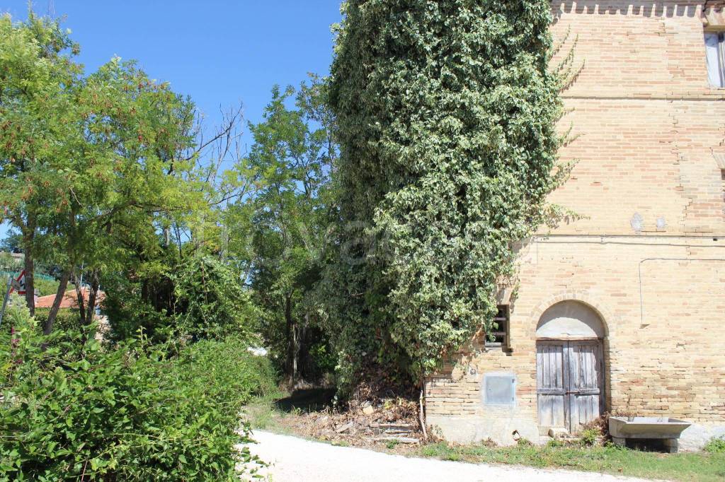 immagine annuncio 10 di 11