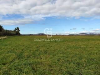 Terreno residenziale in vendita a montalto di castro località cerquabella, snc