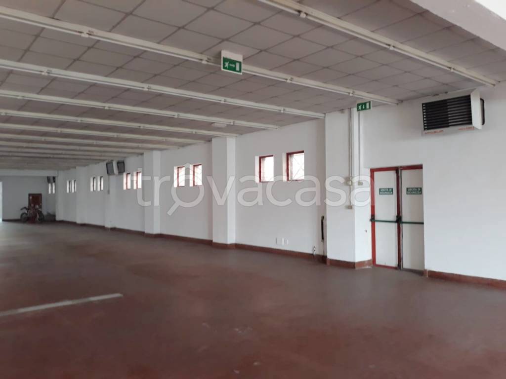 immagine annuncio 1 di 4