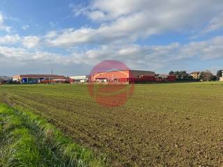 Terreno agricolo in vendita a gatteo 