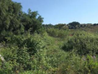 Terreno agricolo all'asta a siderno via lenzi