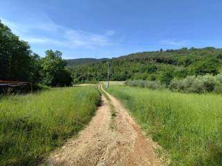 Terreno agricolo in vendita ad amelia via del colle