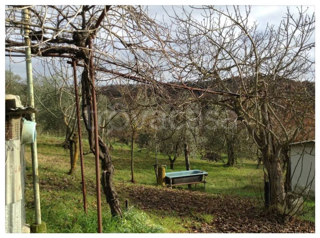 immagine annuncio 4 di 11