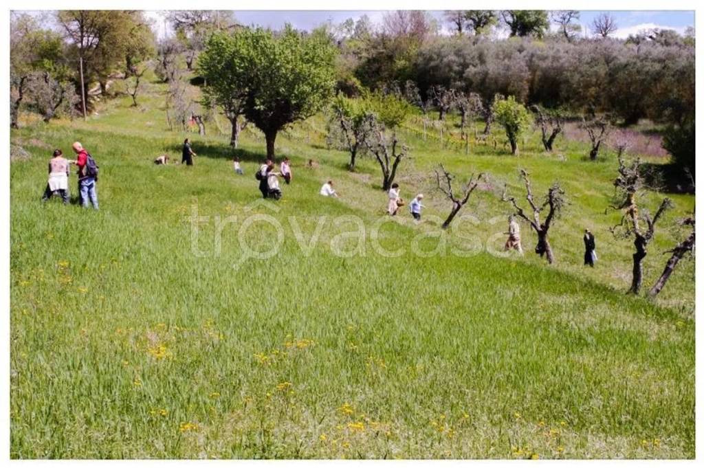 immagine annuncio 8 di 11