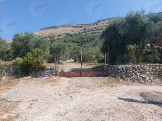 Terreno agricolo all'asta a sonnino via dei caporali