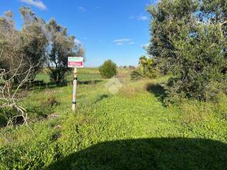 Terreno agricolo in vendita a brindisi contrada marfeo, 1