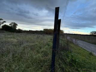 Terreno agricolo in vendita a roma via dobbiaco