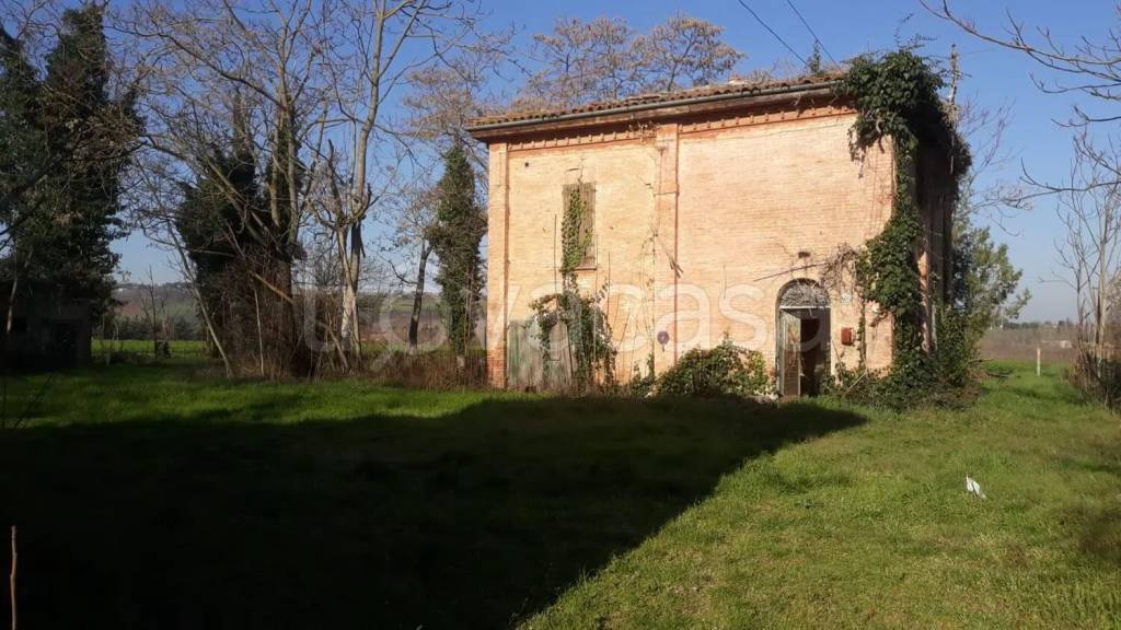 immagine annuncio 6 di 11