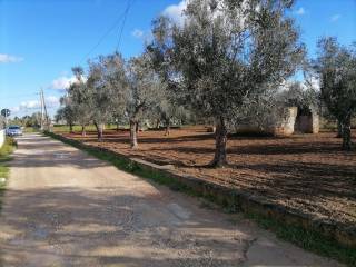 Terreno agricolo in vendita a cutrofiano via cimitero, 14