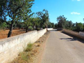 Terreno residenziale in vendita a carovigno contrada puspo